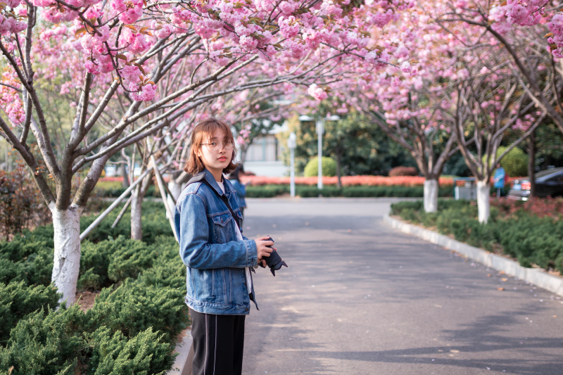 闲绕花行便当游（摄影：禚越）