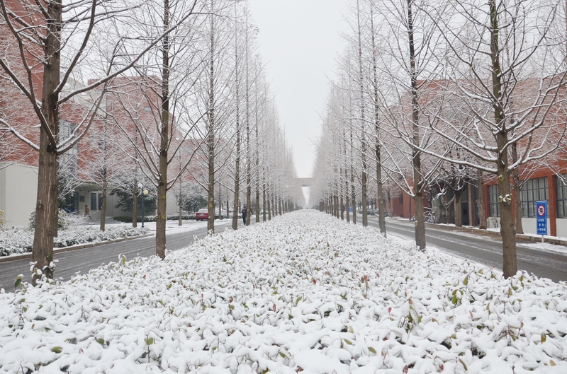 校园雪景（摄影：高晓华）