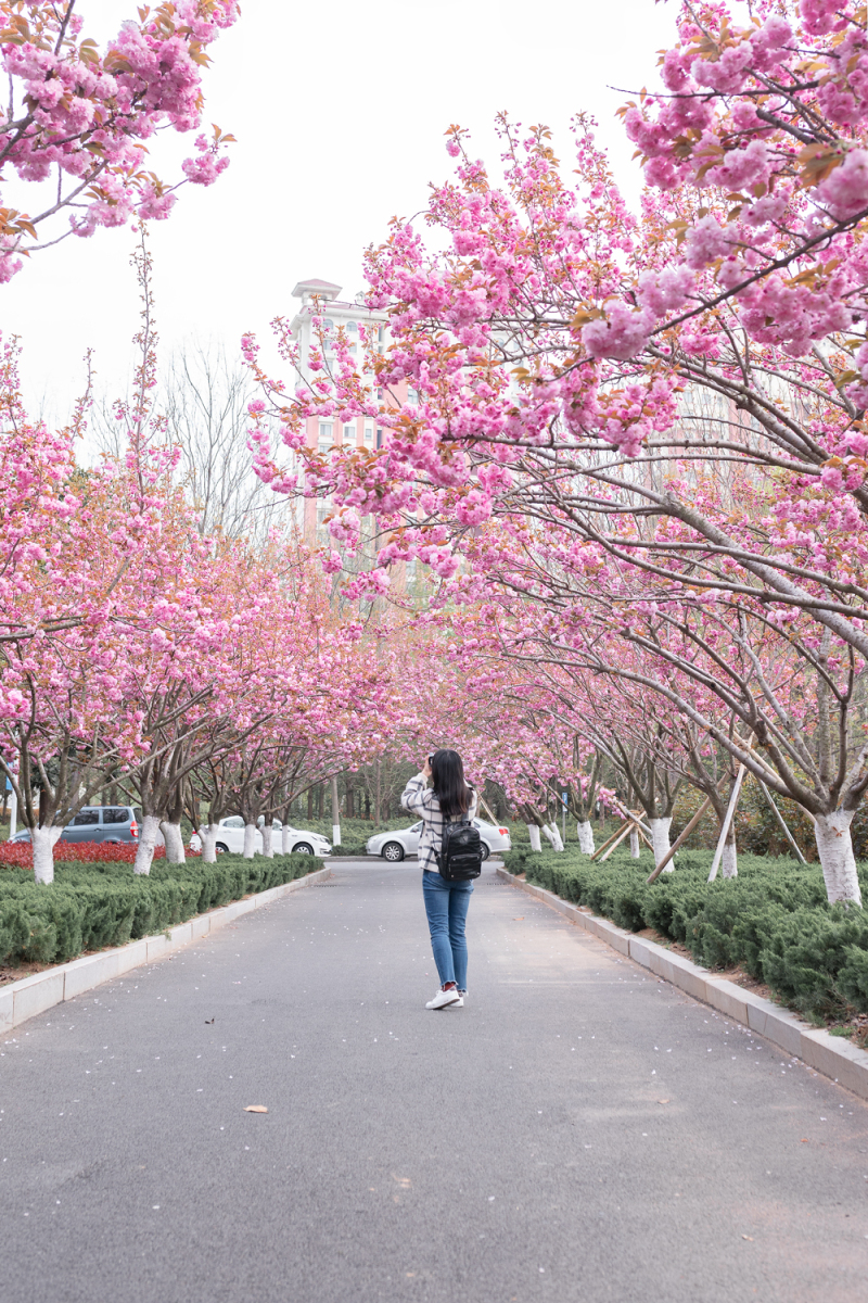 闲绕花行便当游（摄影：禚越）