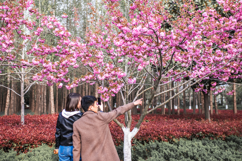 闲绕花行便当游（摄影：禚越）