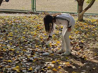 e863d00d31e6e0924dce43e015a9e17c